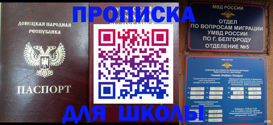 прописка для работы в Невеле